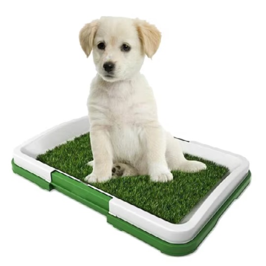 Litiera inteligenta cu iarba artificiala pentru caini si catei de talie mica, 47 x 34cm